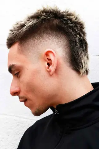 Cá Mullet: Khám phá loài cá đặc biệt và giá trị