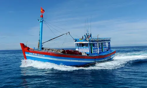 Nghề Đánh Bắt Cá Biển: Từ Thuở Sơ Khai Đến Hiện Đại Ở Việt Nam