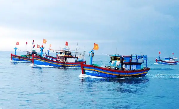 Nghề Đánh Bắt Cá Biển: Từ Thuở Sơ Khai Đến Hiện Đại Ở Việt Nam