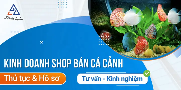 Hướng dẫn thủ tục, hồ sơ & kinh nghiệm mở cửa hàng cá cảnh