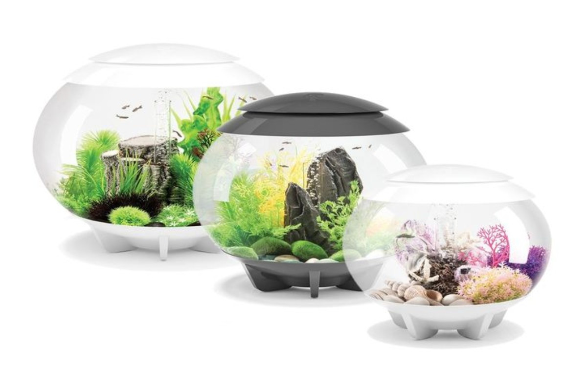 Người dùng đang lựa chọn bể cá cảnh mini phù hợp với không gian