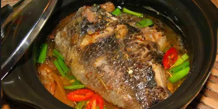 Nguồn Gốc Cá Rô Phi: Lịch Sử, Đặc Điểm & Vai Trò Toàn Cầu Nguồn Gốc Cá Rô Phi: Lịch Sử, Đặc Điểm & Vai Trò Toàn Cầu