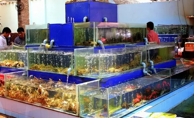Top 7 Nhà Hàng Bể Cá Độc Đáo Khó Bỏ Qua Tại Việt Nam