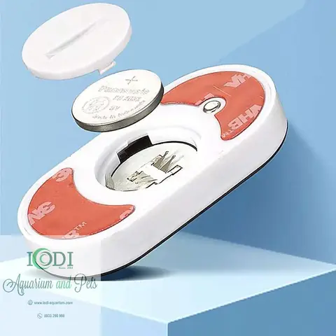 Nhiệt Kế Điện Tử Bể Cá: Hướng Dẫn Chi Tiết Từ A Đến Z