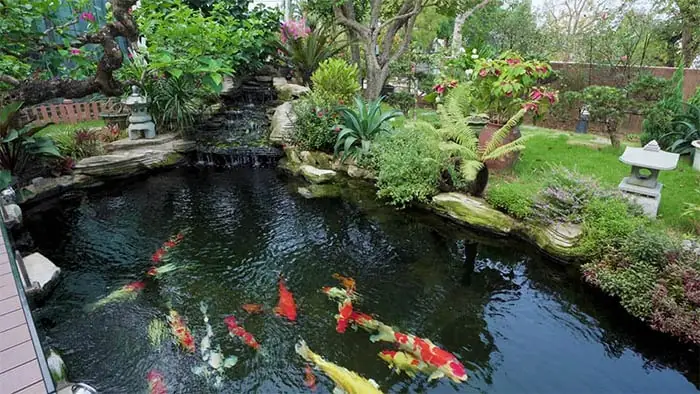 Những Hồ Cá Koi Đẹp Nhất: Bí Quyết Kiến Tạo Vẻ Đẹp Hoàn Hảo