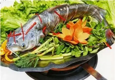 Những Loại Cá Nước Ngọt Cực Tốt Cho Sức Khỏe Nên Ăn