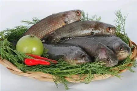 Những Loại Cá Nước Ngọt Cực Tốt Cho Sức Khỏe Nên Ăn