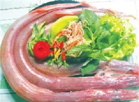 Những Loại Cá Nước Ngọt Cực Tốt Cho Sức Khỏe Nên Ăn