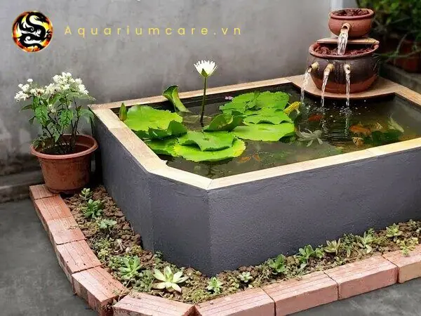 Non Bộ Bể Cá: Hướng Dẫn Thiết Kế, Chăm Sóc Hiệu Quả