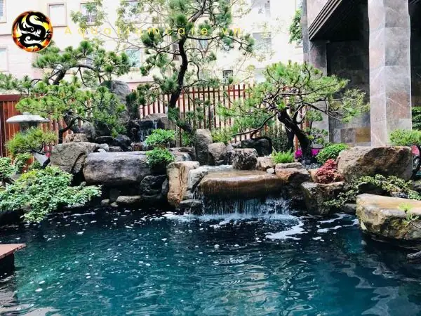 Non Bộ Bể Cá: Hướng Dẫn Thiết Kế, Chăm Sóc Hiệu Quả