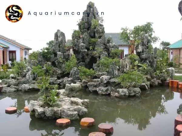 Non Bộ Bể Cá: Hướng Dẫn Thiết Kế, Chăm Sóc Hiệu Quả