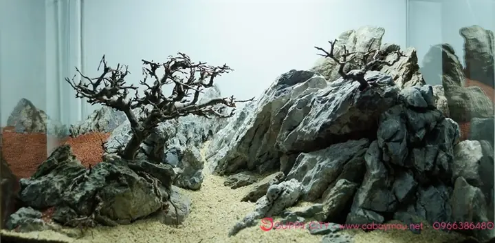 Núi Đá Bể Cá: Hướng Dẫn Thiết Kế Và Chăm Sóc Từ A Đến Z