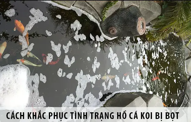 nước bể cá có bọt