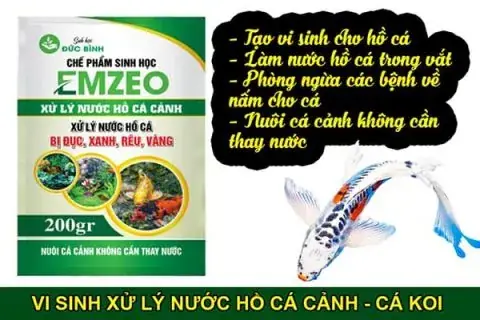 nước hồ cá bị đục xanh nước hồ cá bị đục xanh