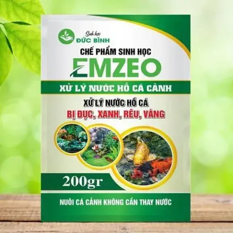 nước hồ cá bị đục xanh nước hồ cá bị đục xanh
