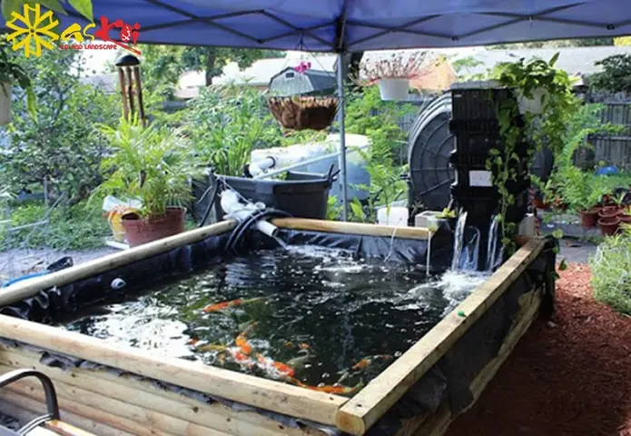 10 Bước Xử Lý Nước Hồ Cá Koi Có Mùi Tanh Triệt Để và An Toàn