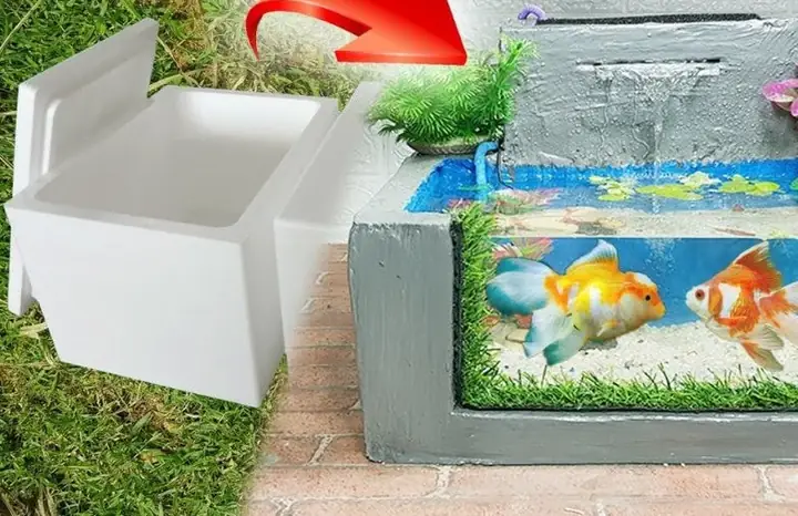 Hướng Dẫn Chi Tiết Nuôi Cá Ba Đuôi Trong Thùng Xốp