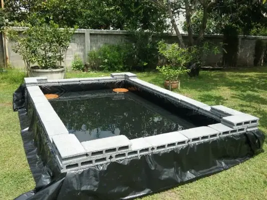 Hướng Dẫn Chi Tiết Nuôi Cá Bằng Bạt Tại Nhà Hiệu Quả