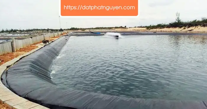 Hướng Dẫn Chi Tiết Nuôi Cá Bằng Bạt Tại Nhà Hiệu Quả