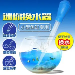 Cách thay nước cho bể thủy tinh nhỏ