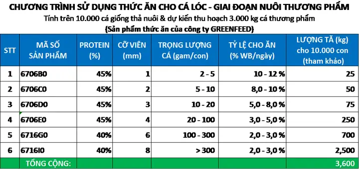 Cẩm Nang **Nuôi Cá Lóc Thương Phẩm**: Từ Chọn Giống Đến Thu Hoạch