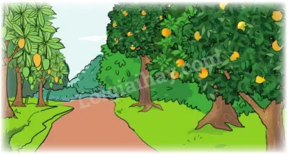 Hướng Dẫn Nuôi Cá Miền Tây Hiệu Quả Và Bền Vững