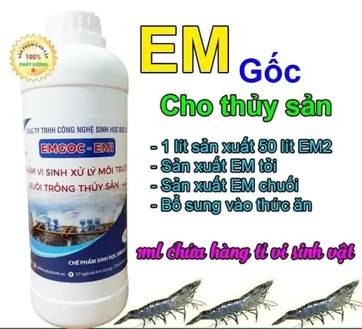 Kỹ Thuật Nuôi Cá Rô Đồng Trong Bể: Từ Chuẩn Bị Đến Thu Hoạch