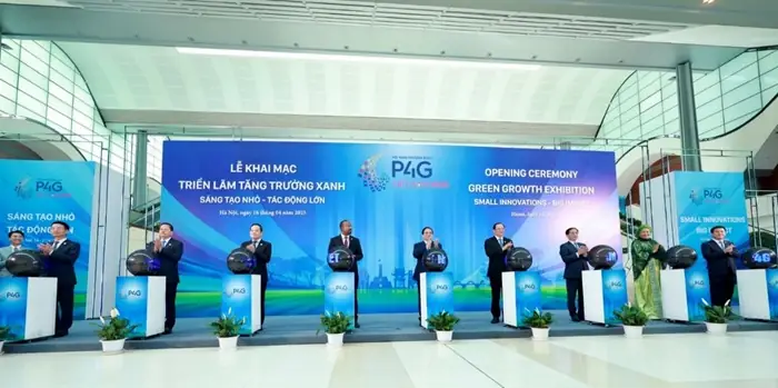 Nuôi Cá Tai Tượng Da Beo: Cẩm Nang Từ A Đến Z Nuôi Cá Tai Tượng Da Beo: Cẩm Nang Từ A Đến Z