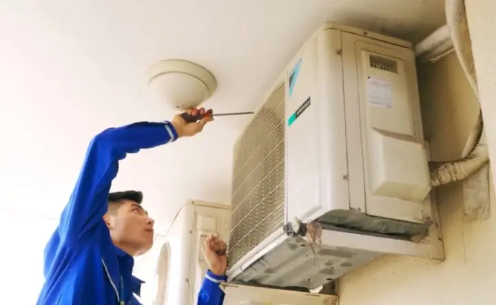 Nuôi cá trong phòng lạnh: Hướng dẫn toàn diện từ chuyên gia