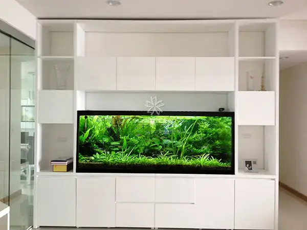 nuôi hồ cá trong phòng ngủ