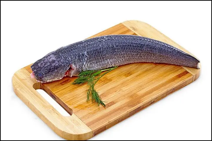 Phân Biệt Cá Lóc Đồng Và Cá Lóc Nuôi: Hướng Dẫn Chi Tiết Từ Chuyên Gia