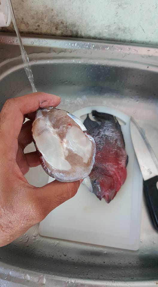Phần đầu cá La Hán, bao gồm khối u đặc trưng, được cắt rời