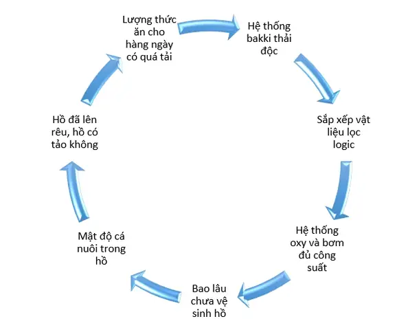 Phẫu Thuật Cá Koi: Khi Nào Cần và Quy Trình Thực Hiện Chi Tiết