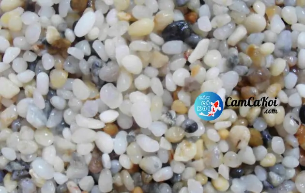 Hướng Dẫn Lựa Chọn & Sử Dụng Phụ Kiện Bể Cá Koi Hiệu Quả