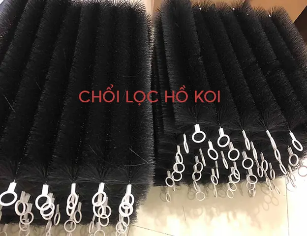 Hướng Dẫn Lựa Chọn & Sử Dụng Phụ Kiện Bể Cá Koi Hiệu Quả