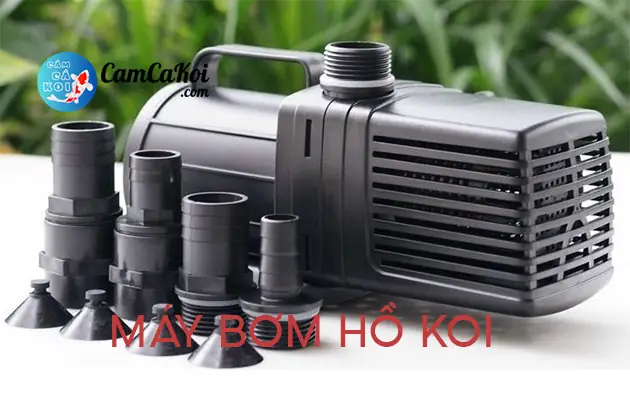 Hướng Dẫn Lựa Chọn & Sử Dụng Phụ Kiện Bể Cá Koi Hiệu Quả