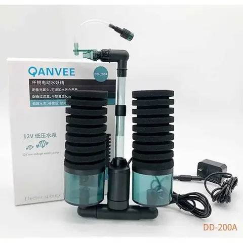 Hướng Dẫn Chọn Lựa Phụ Kiện Cho Bể Cá Cảnh Toàn Diện