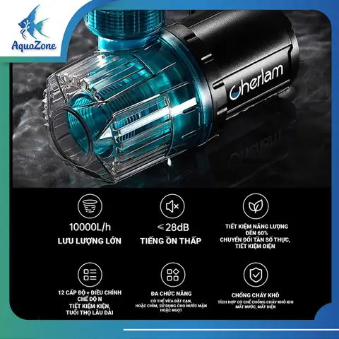 Hướng Dẫn Chọn Lựa Phụ Kiện Cho Bể Cá Cảnh Toàn Diện