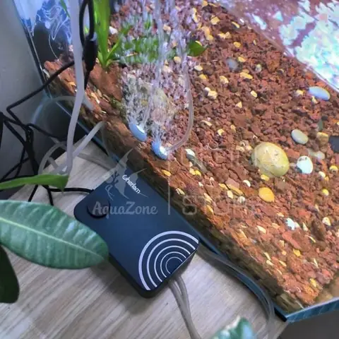 Hướng Dẫn Chọn Lựa Phụ Kiện Cho Bể Cá Cảnh Toàn Diện