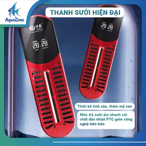 Hướng Dẫn Chọn Lựa Phụ Kiện Cho Bể Cá Cảnh Toàn Diện
