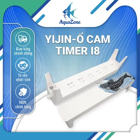 Hướng Dẫn Chọn Lựa Phụ Kiện Cho Bể Cá Cảnh Toàn Diện