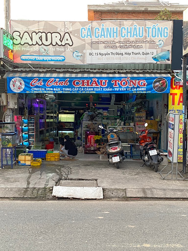 Phụ kiện hồ cá cần thiết tại cửa hàng cá cảnh Châu Tống