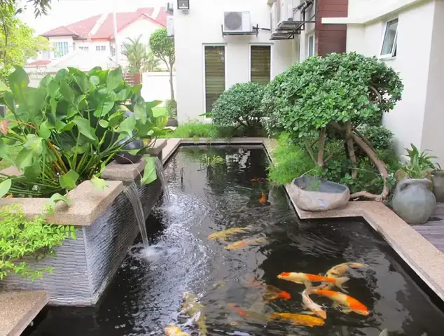Các Loại Phụ Kiện Hồ Cá Koi Thiết Yếu Bạn Cần Biết