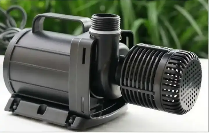 Các Loại Phụ Kiện Hồ Cá Koi Thiết Yếu Bạn Cần Biết