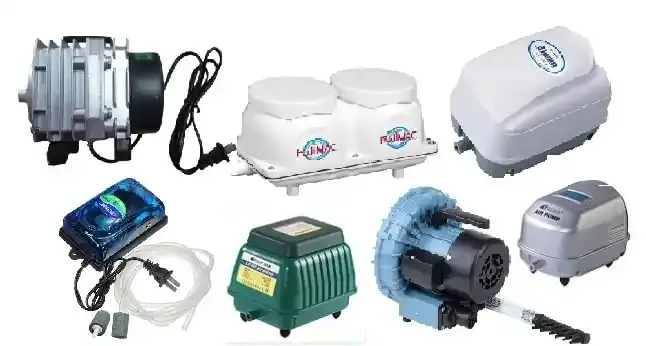 Các Loại Phụ Kiện Hồ Cá Koi Thiết Yếu Bạn Cần Biết