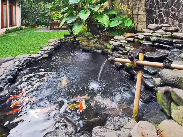 Các Loại Phụ Kiện Hồ Cá Koi Thiết Yếu Bạn Cần Biết