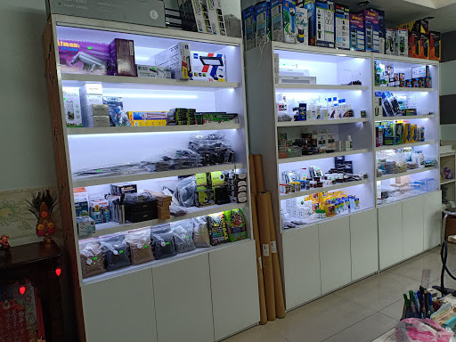 Phụ kiện hồ cá thủy sinh