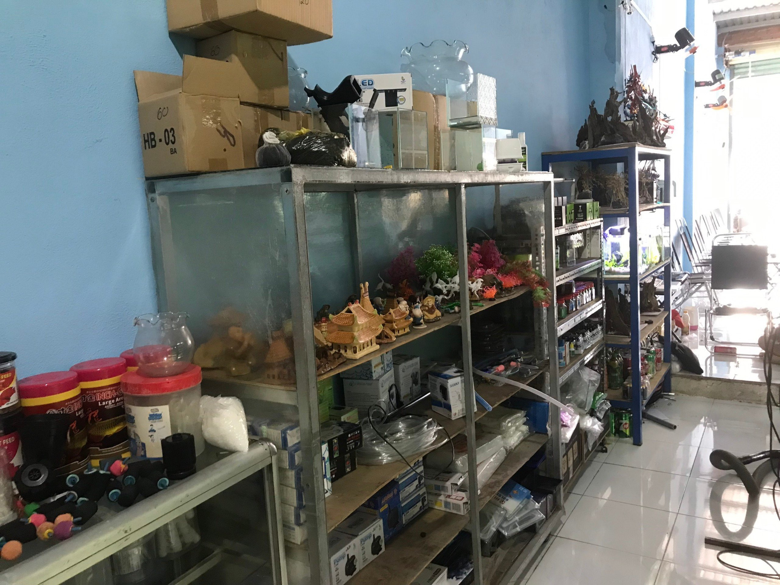 Phụ kiện thiết yếu cho bể cá cảnh và thủy sinh tại Hóc Môn
