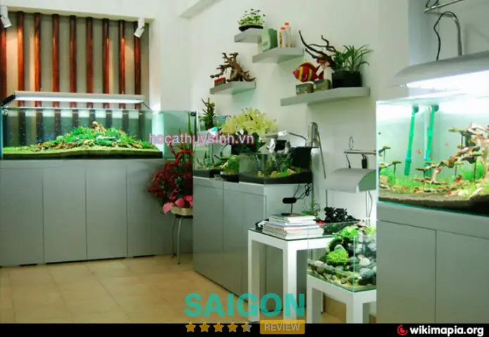 Danh sách Cửa hàng Phụ kiện Trang trí Hồ cá TPHCM Đáng tin cậy