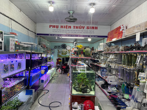 Phụ kiện trang trí hồ thủy sinh đa dạng tại Quận 7